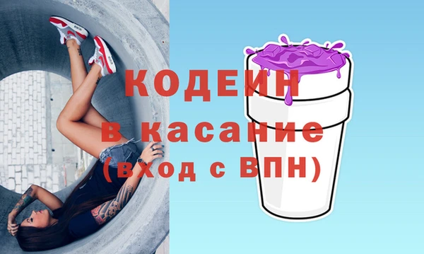 гашик Туринск
