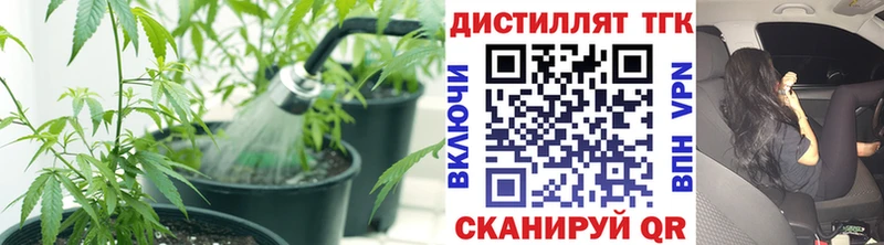 цены   Судогда  hydra как войти  Дистиллят ТГК гашишное масло 