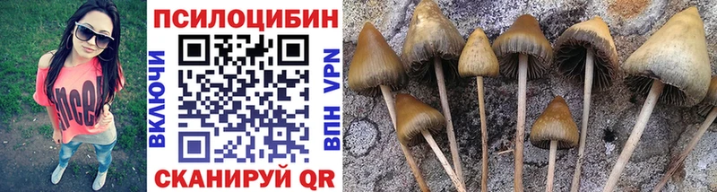 купить  сайты  Судогда  Галлюциногенные грибы прущие грибы 