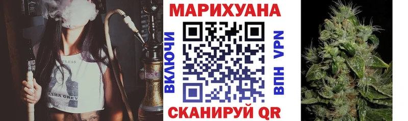 omg tor  купить  сайты  Судогда  Шишки марихуана гибрид 